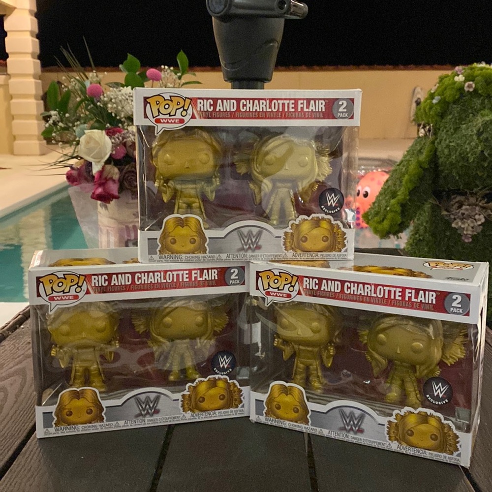 POP  91
Funko Pop Ric and Charlotte Flair